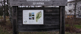 Gröngarnåsen-Dyarna kan bli naturreservat