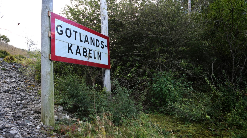 Vänsterpartiet vill driva igenom en tredje elkabel till Gotland via riksdagen. 