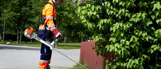 Klart med feriepraktikjobb för 300 ungdomar