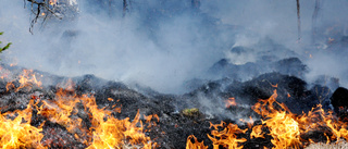 Skogsbrand på berg vid Jukkasjärvi