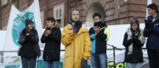 Manifestation till stöd för klimatet