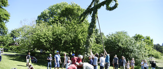 Digital midsommar firas på flera håll