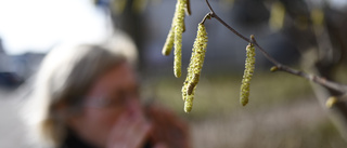 Experten: Så skiljer du på pollen och corona