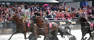 Tegnell om Elitloppet: "Det blir svårt"