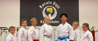 Diger medaljskörd för Karate Dojo