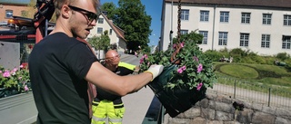 Thomas sätter färg på broräckena: "jag älskar blommor!"