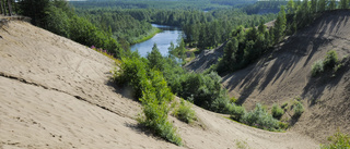 Osäker på vad du ska göra i sommar? Här är tips på fina naturreservat i Skellefteå kommun