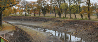 Fiskar i Göta kanal har lämnats att dö 