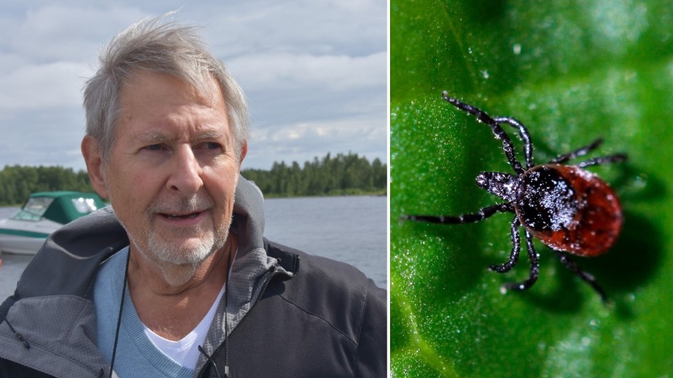 Thomas Jaenson, professor emeritus som forskar om fästingar.