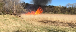 Räddningstjänsten bekämpade stor gräsbrand