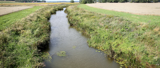 Bort med byråkratin som hindrar landsbygdens utveckling