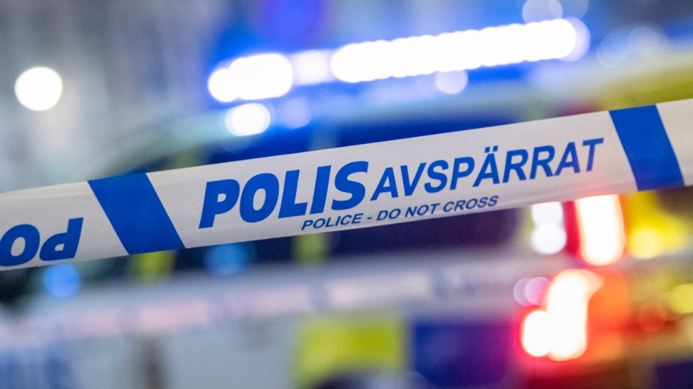 Två män, 22 och 32 år, åtalas för rån och övergrepp i rättssak. 
