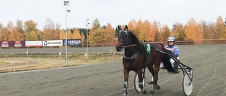 Celeste Brodda på väg mot seger – blev snöpligt avslagen