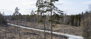 Svalt intresse för färre kalhyggen i kommunskogarna