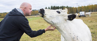 Nykläckta bönder satsar på kycklingar