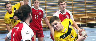 VIF Gute Handboll får fribiljett till division 3