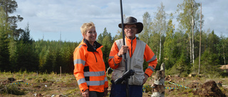 100 år sedan fäbodarna övergavs