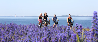 På Närsholmen trampar de mot samma mål