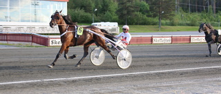 Hector Sisu imponerade i Breeders-kval