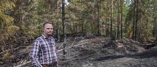 Skogen är svart efter den envisa skogsbranden