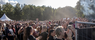 Här är de första banden som kommer till östgötska skogarna