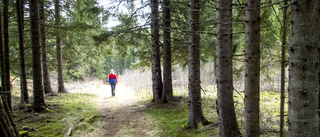 Gör en pilgrimsvandring i coronatid