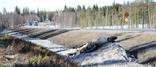 Nu sänks hastigheten på riksvägen