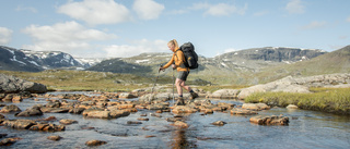 Längtan efter naturen är stor i sommar