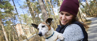 Många skaffar hund i coronakarantän