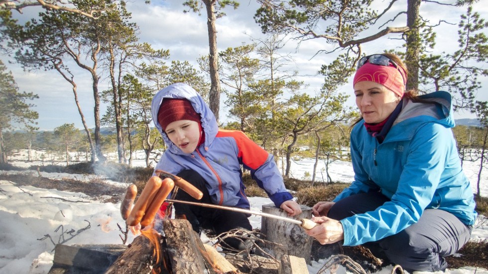 Den som hade sett fram emot att resa från kust till inland för att grilla korv i en snödriva får tänka om. 