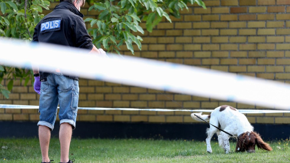 Den 8 augusti i fjol blev en man skjuten nära Vendelsfridsparken i Malmö. Nu döms två bröder till långa fängelsestraff för bland annat grov misshandel.