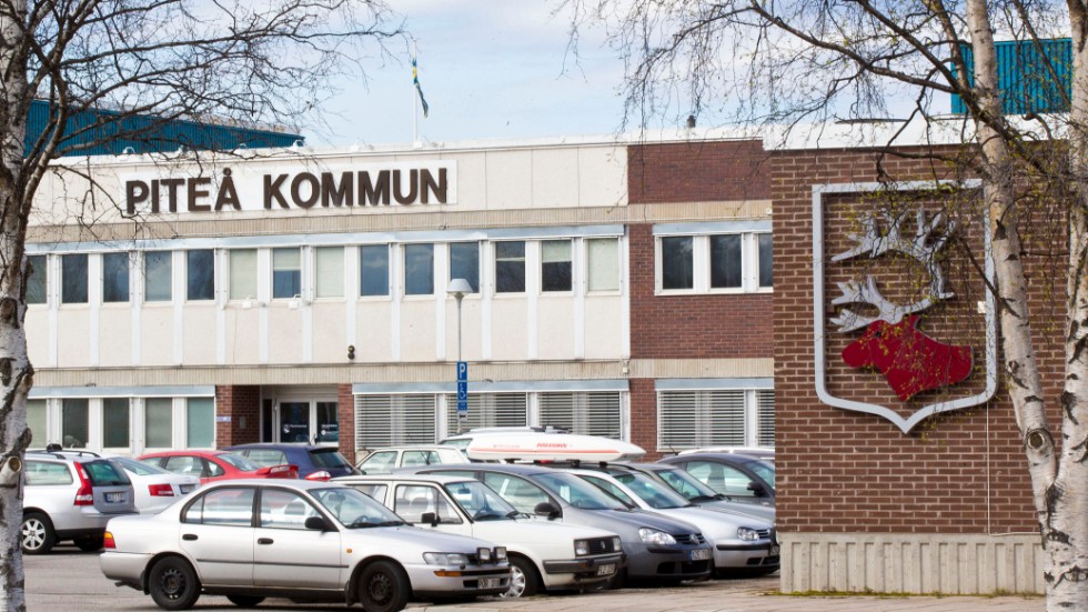 156 kvinnor driver företag i Piteå. De är underrepresenterade. 882 aktiebolag drivs av män.