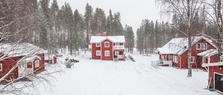 Besökskära Stormyrbergets lantgård säljs