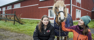 Bidraget som ska lyfta hästsporten