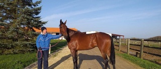 Ingen start för "Lady" på Vincennes