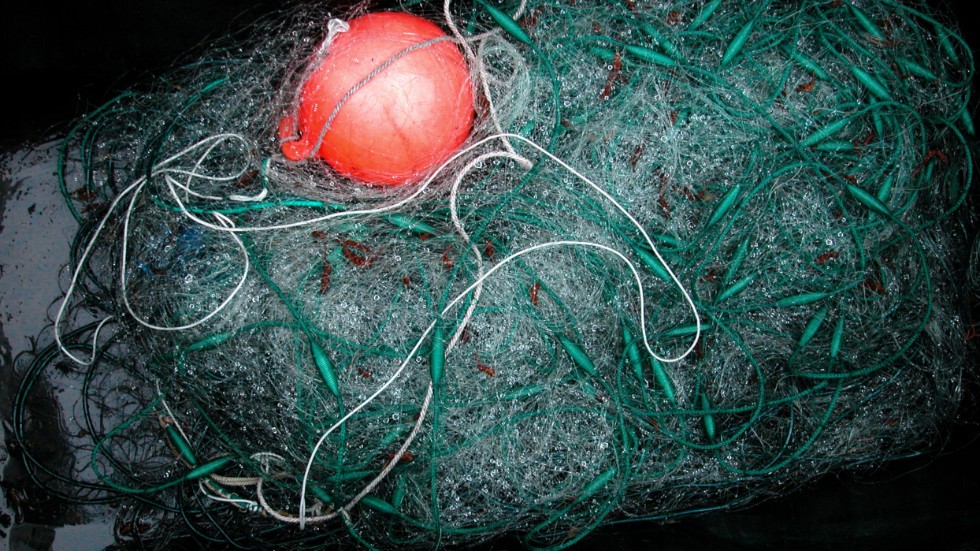 Den åtalade lade ut nät där vattnet var för grunt och ertappades av kustbevakningen. Nu åtalas han för brott mot  fiskelagen. (Arkivbild)