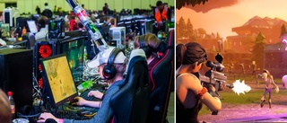 Elvaåring la 17 000 kronor på Fortnite