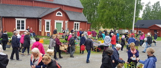 Skellefteå trädgårdssallskap firar 80 år i år