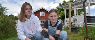 Hittade sin egen affärsidé - odlar och säljer mask