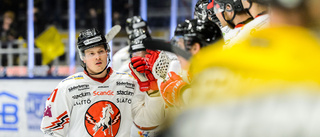 Genombrottsmannen: "SHL har varit ett delmål"