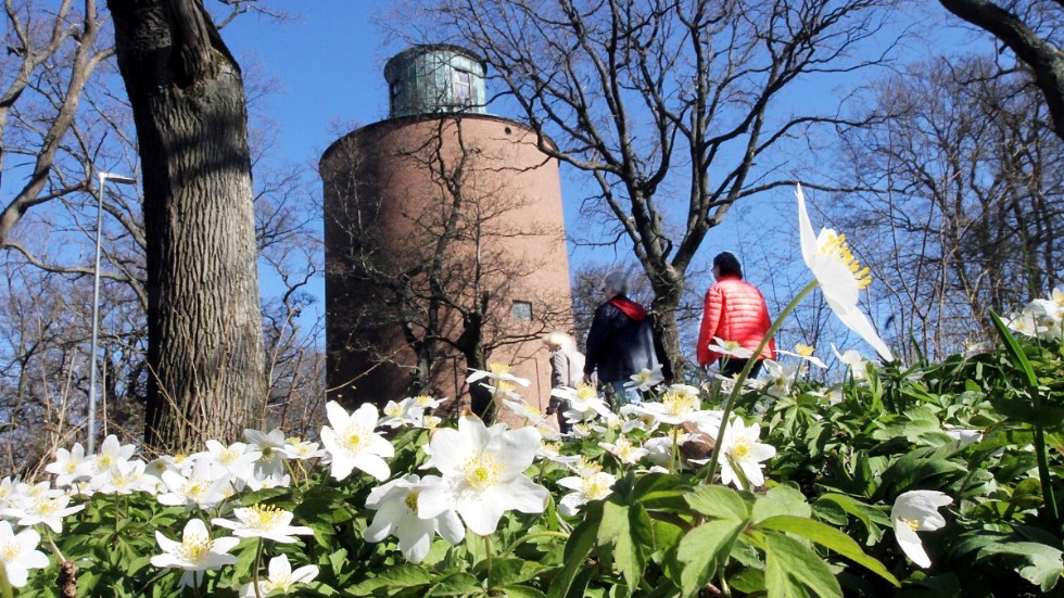 Bondebacka är Motalas centralaste strövområde. Här finns ett lättgånget spår på 2,5 kilometer. Våren är kanske den vackraste tiden här. Då täcker mängder av vitsippor marken vid gamla vattentornet.