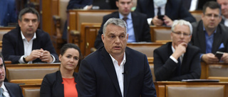 Orbán vädjar till kollegor i EU-grupp