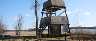 En vårvandring längs Hulingens strand