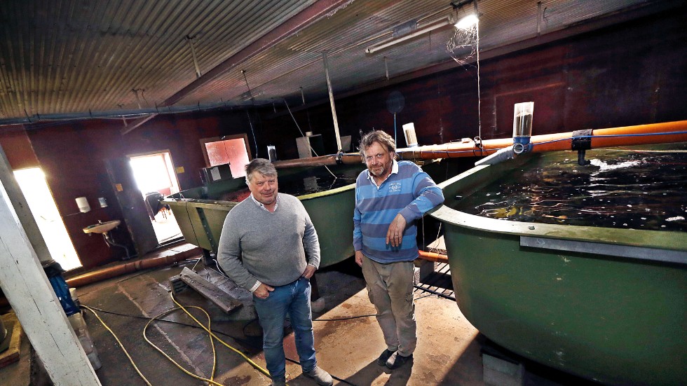 Vadstena Fisk AB är Claes och Per Eke-Göransson, växt- och fiskodlare på Åbylunds säteri. 