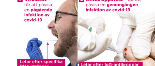 Alla dessa tester – vad ska vi ha dem till?