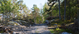 Planeringsbeskedet om Bergön skjuts fram