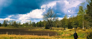 Ett perfekt landskap att vandra och må bra i 