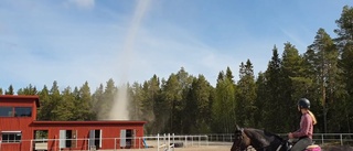 Se: Virvlande naturfenomen över ridklubben