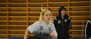 VIBK vill säkra sin plats i Division 1