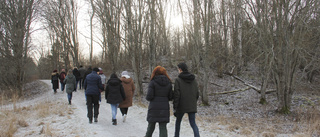 Långpromenader som komplement till SFI